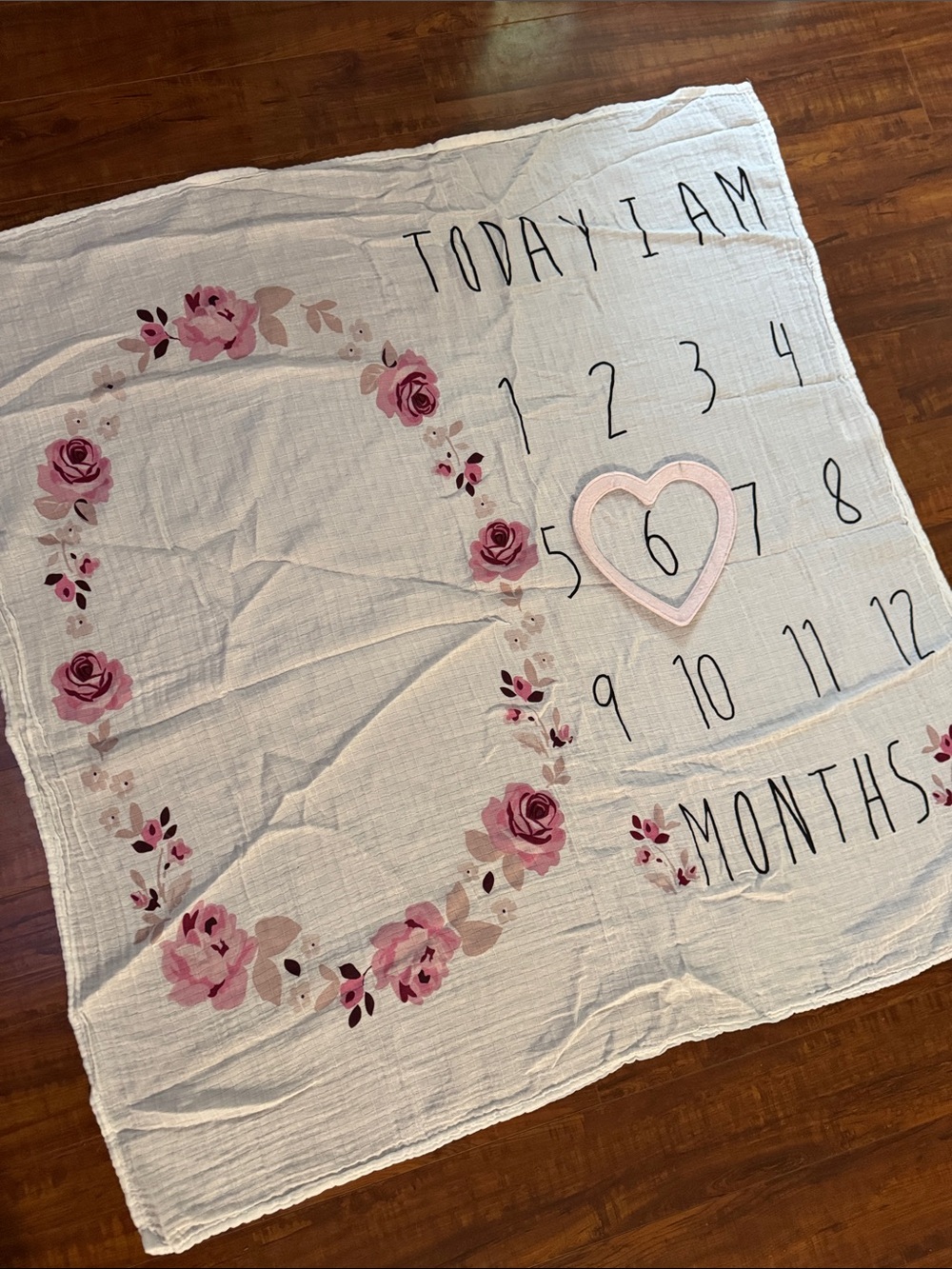 Baby Milestone Photo Blanket in Pink Floral Design